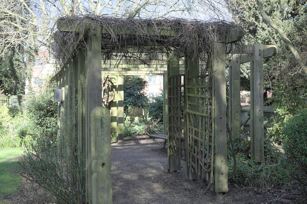 Pergola extérieure en bois avec structure ouverte